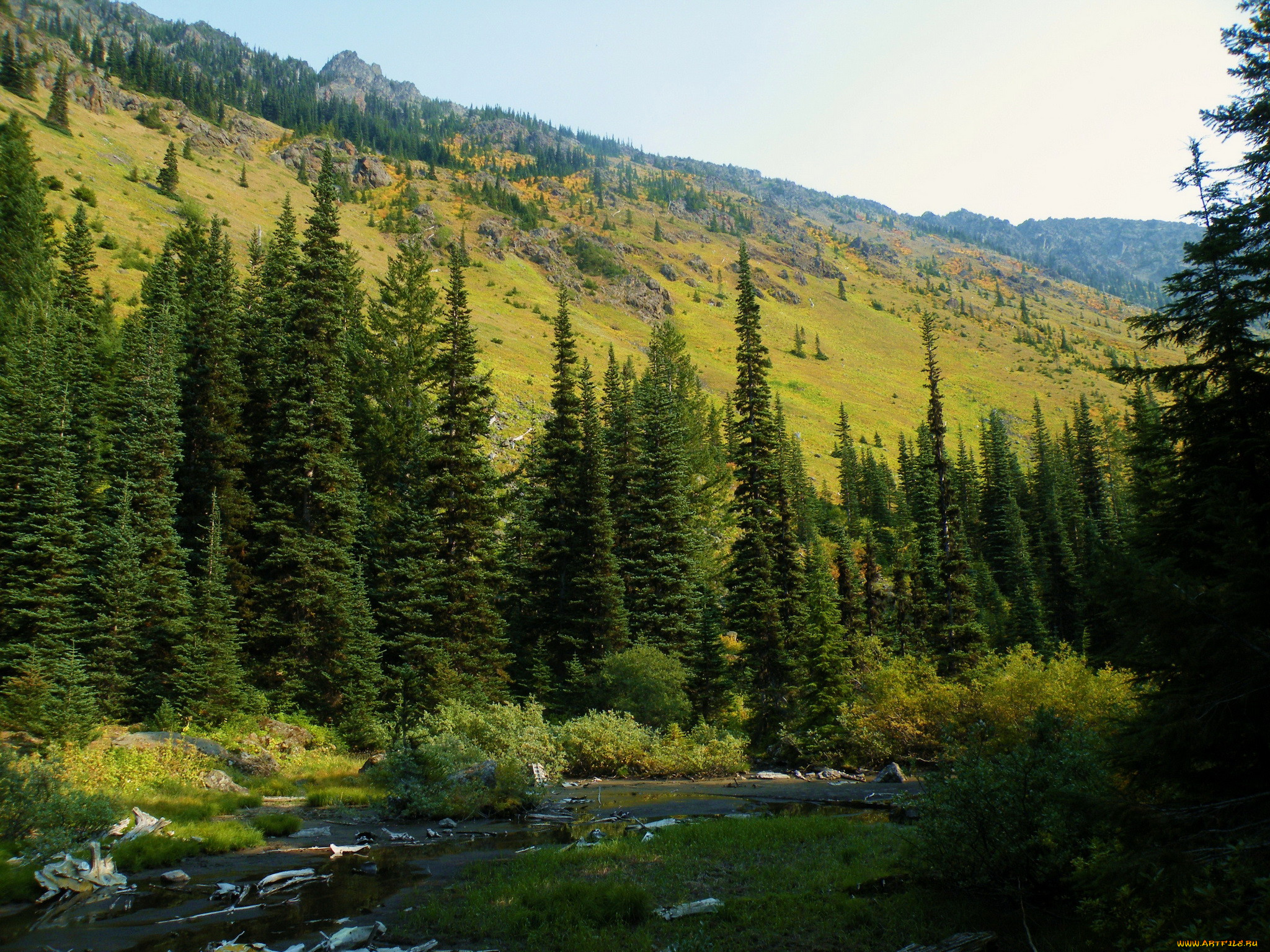 washington, mt, baker, snoqualmie, national, forest, , , , , 